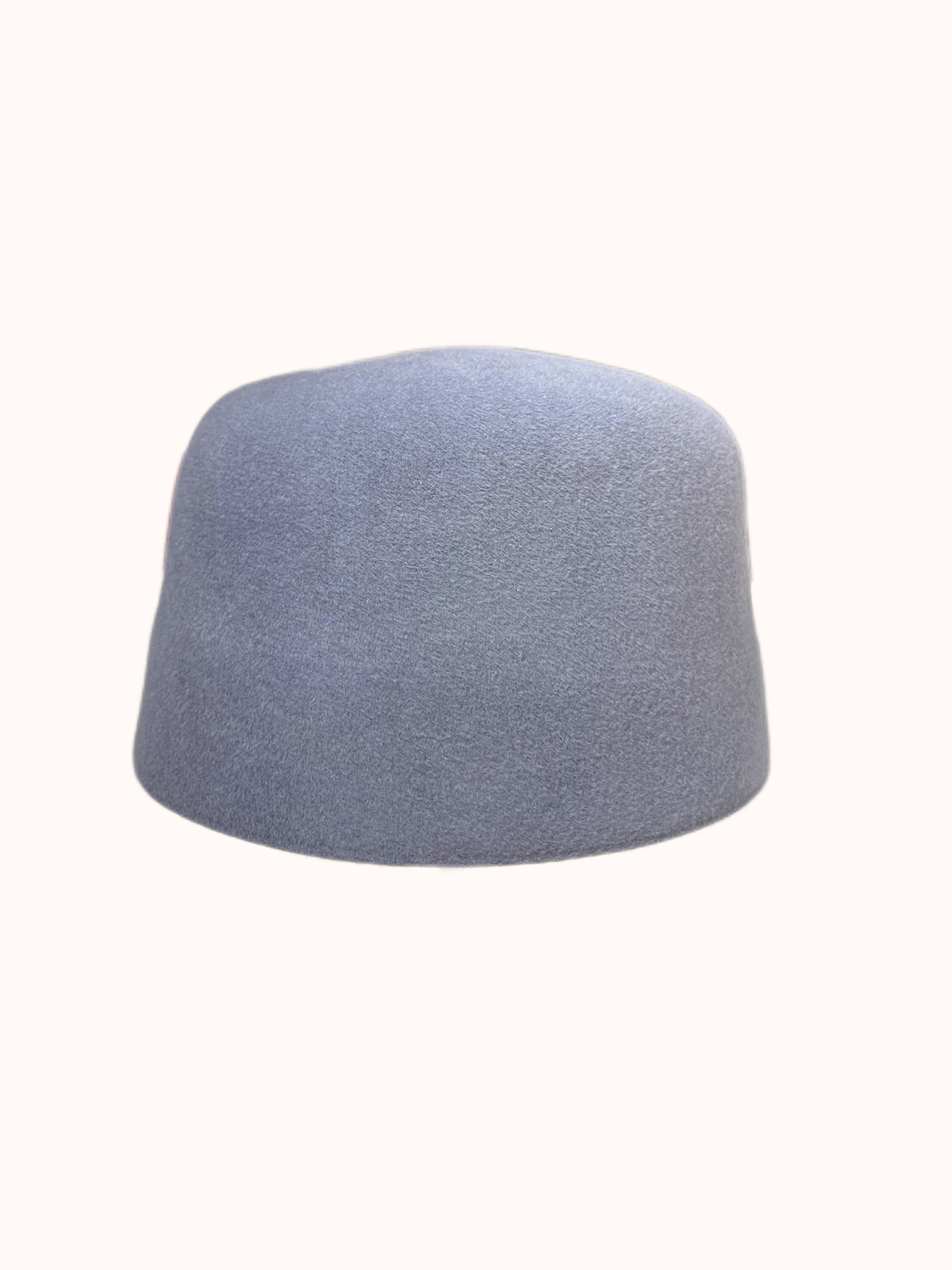 LEO Plain
